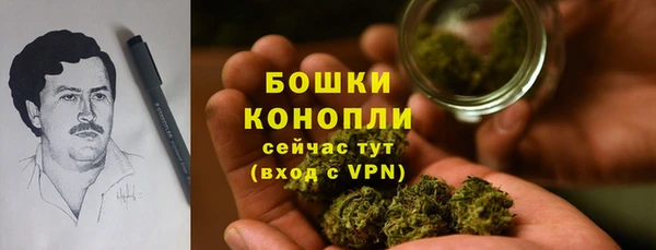 прущая мука Бородино