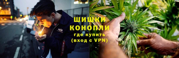сатива Бугульма